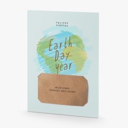 Earth year